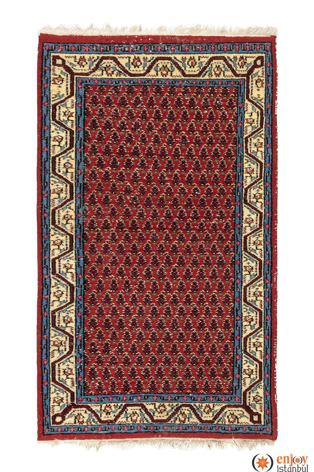 Isparta Carpet Rug (2.9 x 4.9 ft) - 240760
